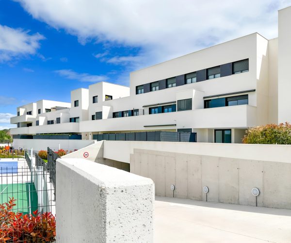 alg-55-estandar-mejorada